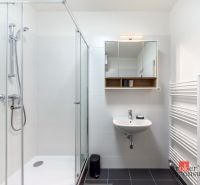 A bathroom with white tiles, a shower corner, and a mirrored cabinet in a studio apartment.