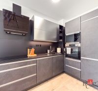 A stylish kitchen in a studio apartment, with black cabinets and a wood-patterned floor.