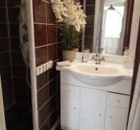 Bathroom with a shower and a white cabinet, floral decoration in a 4-room apartment.
