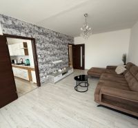 Living room in a 3-room apartment with a sofa and entrance to the kitchen.