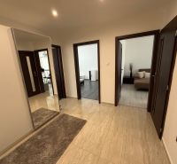 A hallway with carpet and a mirror, entrance to rooms, 3-room apartment.