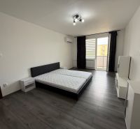 Bedroom in a 3-room apartment with a bed and wooden decor flooring.
