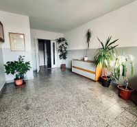Interior of a building with an entrance hall and flowers, 3-room apartment.