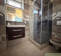 Bathroom in a family house with a sink, shower, and toilet.
