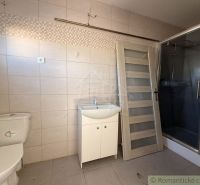Bathroom with a toilet, shower, and doors in a family house.