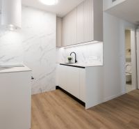 A kitchen in a 2-room apartment with a wooden decor floor and marble details.