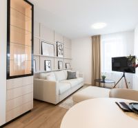 Living room with wood-patterned flooring, a sofa, artworks, and a television in a 2-room apartment.