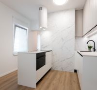 A kitchen in a 2-room apartment with a light-colored kitchenette, beige wall, and a floor with a wood decor.