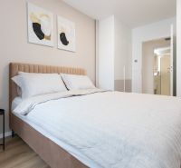 Bedroom in a 2-room apartment with a bed, a plant, and paintings on the wall.