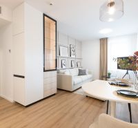 Living room in a two-room apartment with a sofa, table, and wooden decor flooring.