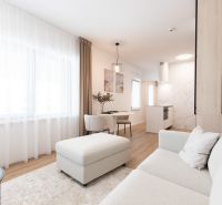 A bright living space with wood-patterned flooring in a two-room apartment.
