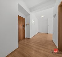 Entrance hallway with wood-patterned flooring in a 2-room apartment.