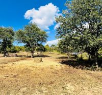 A plot of land by a family house in Ondavské Matiašovce with grass and trees in the countryside.