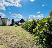 The garden of a family house in Ondavské Matiašovce with green shrubs and a blue sky.
