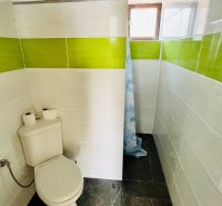 Bathroom in a family house with green and white tiles and a toilet.