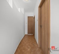 A hallway with white walls, brown floor, and doors in a 2-room apartment.