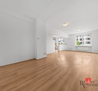Spacious living area with wood-patterned flooring in a two-room apartment.