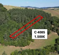 Agricultural and forest lands in Plaveč include dense forest and open countryside.