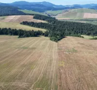 Agricultural and forest lands in Plaveč with hilly meadows and forests in the background.