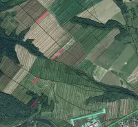 Agricultural and forest lands in Plaveč with various plots and roads.