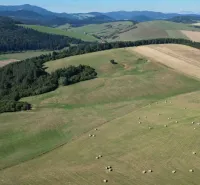 Hilly landscape with forests and fields in the village of Plaveč, suitable for agricultural and forest land.