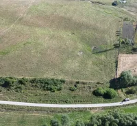 Aerial view of agricultural and forest lands around Plaveč with a road.
