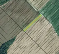 Agricultural and forest lands in Plaveč. Various colored fields and roads are visible.