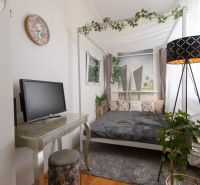 A bedroom in a 2-room apartment with a canopy, television, and wooden decor flooring.