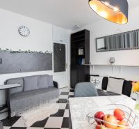 Living room in a two-room apartment with black and white flooring and decorations.
