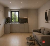 Living room with a kitchenette and a wooden decor floor in a 2-room apartment.