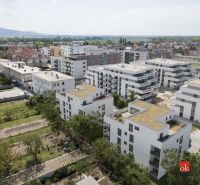 A view of apartment buildings on Cementárenská Street in Stupava with plenty of greenery.