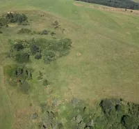 A meadow with scattered trees in agricultural and forest lands near Stará Ľubovňa.
