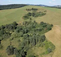 Meadows and forest stands in the vicinity of Stará Ľubovňa, suitable for agricultural and forest land.