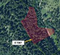 Aerial view of agricultural and forest lands in the Stará Ľubovňa area.