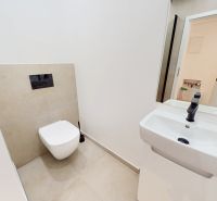 A bathroom toilet with a sink in a 5 or more room apartment.
