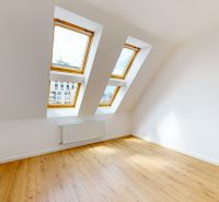 A room in a 5 or more bedroom apartment with a wood-patterned floor and skylights.