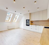A kitchen in a 5 or more room apartment with a wood-patterned floor and skylights.
