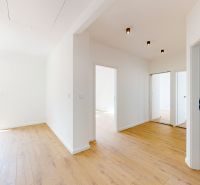 A bright hallway in a 5 or more-bedroom apartment with a wood-patterned floor.