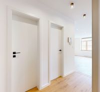 Interior of a 5 or more room apartment with wood-patterned flooring and white doors.