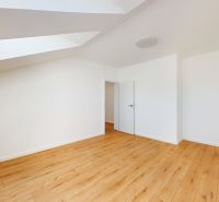A room in a 5 or more bedroom apartment with a wood-patterned floor and a skylight.