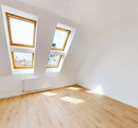 A room in a 5 or more bedroom apartment with a wood-patterned floor and skylights.