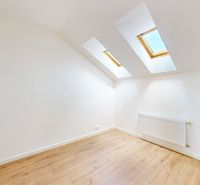 A room in a 5 or more bedroom apartment with a wood-patterned floor and skylights.