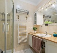 Bathroom with a shower, sink, cabinets, and floral decoration in a 2-room apartment.
