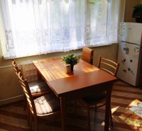 Dining area with a wooden table and chairs in a studio apartment with a view of greenery.