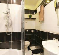 A bathroom with black and white tiles and a shower in a studio apartment.