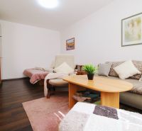 A bright room in a one-room apartment with a wood-patterned floor, a sofa, and a bed.