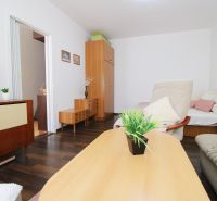 Living room in a studio apartment with a wooden decor floor and furniture.