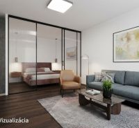 1-bedroom apartment with wood-patterned flooring, a sofa, and a glass partition.