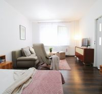 Bright living space in a studio apartment with wood-patterned flooring and comfortable seating.
