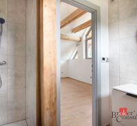 A family house bathroom with tiles, a shower corner, and an adjacent room with a wooden decor floor.